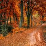 Herbstliche Wanderung im Oktober